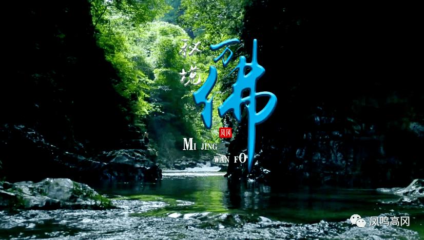 森鹰窗业下跌5.1%,报23.08元/股