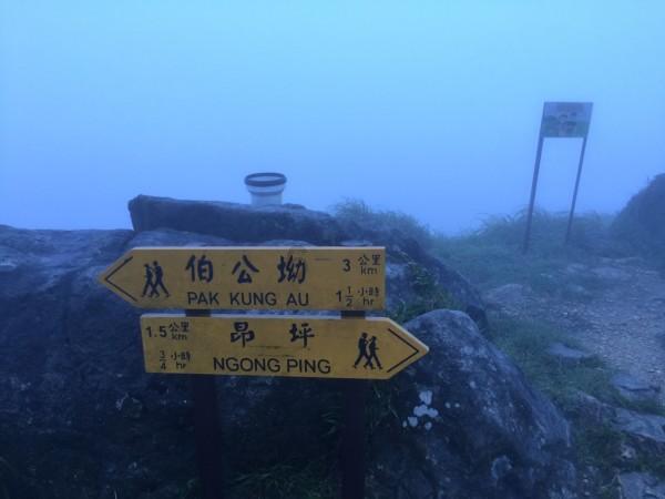 召唤神龙万宁版祖龙