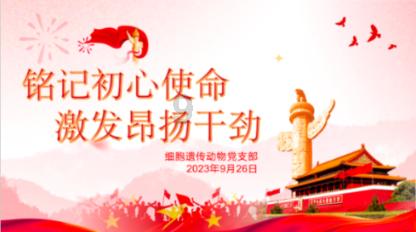 IIS无法启动要删除那个远程执行代码漏洞的补丁，问下删除那个补丁对电脑有没有危害？游戏画面