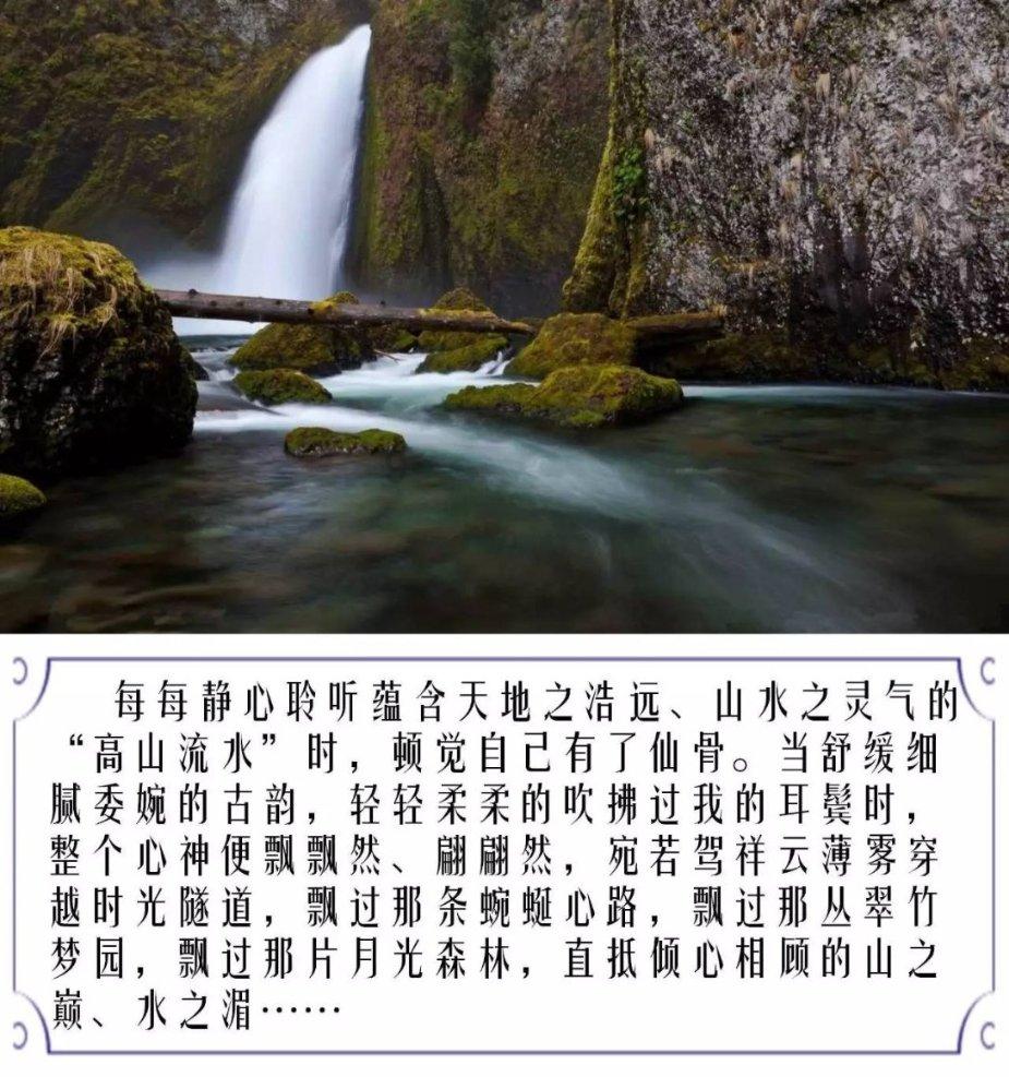 巫师之徒
